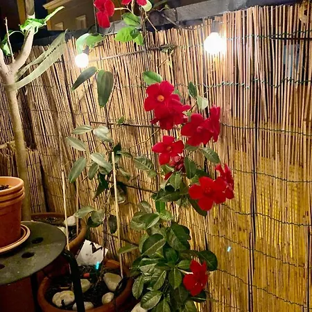 Urban Greener - Morada Apartment *