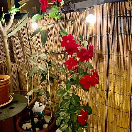 Urban Greener - Morada Apartment *