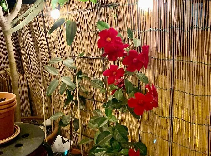 Urban Greener - Morada Appartamento *